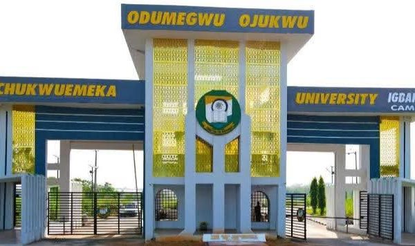 chukwuemeka odumegwu ojukwu university gate