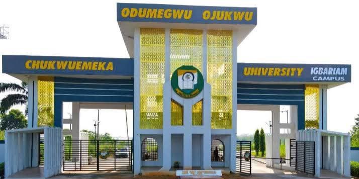 chukwuemeka odumegwu ojukwu university gate
