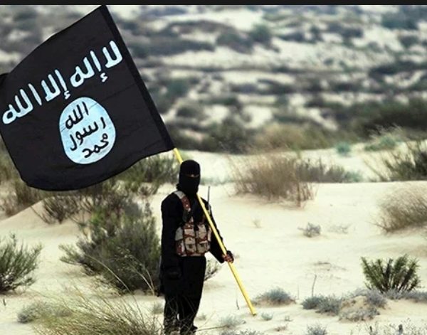 isis member posing with the group's flag