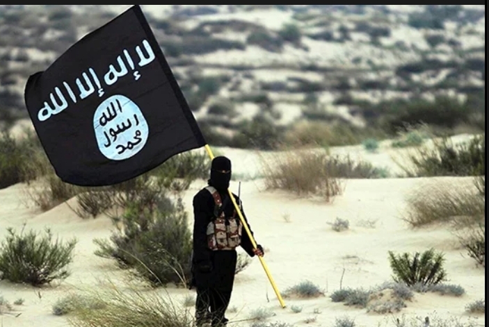 isis member posing with the group's flag